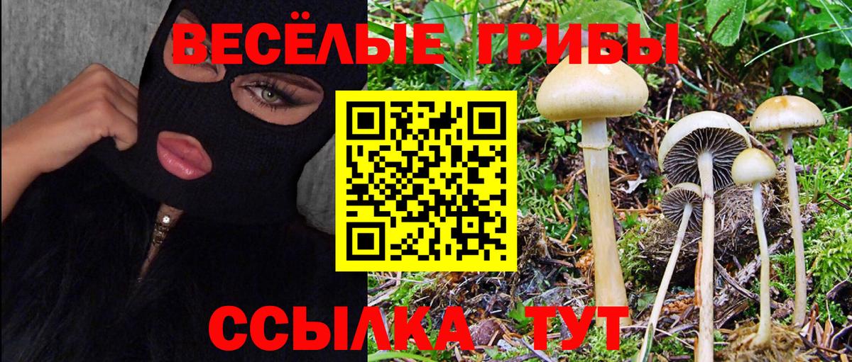 Галлюциногенные грибы Magic Shrooms  Вход с VPN  Галлюциногенные грибы MAGIC MUSHROOMS  Лабинск 